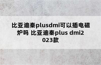 比亚迪秦plusdmi可以插电磁炉吗 比亚迪秦plus dmi2023款